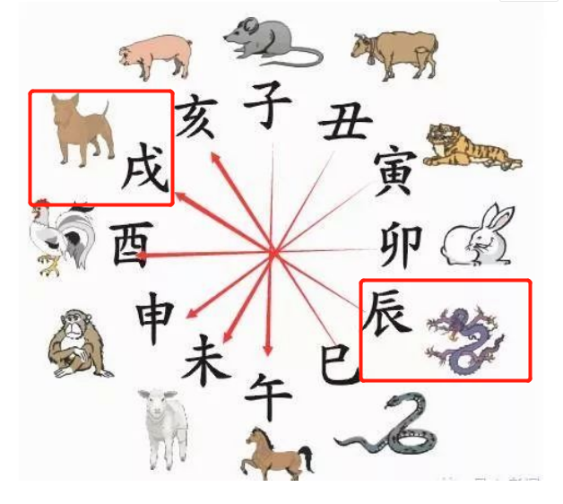 属龙和属狗生肖相冲何如化解