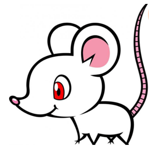 能带旺生肖鼠财运的生肖