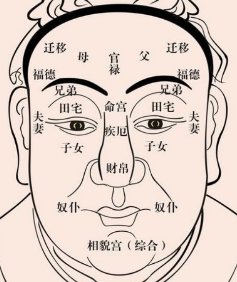 如何看面相算命十二宫