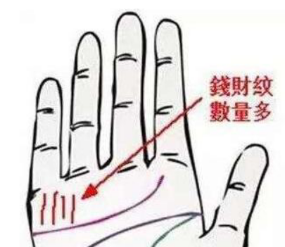 如何通过手纹看一生财运