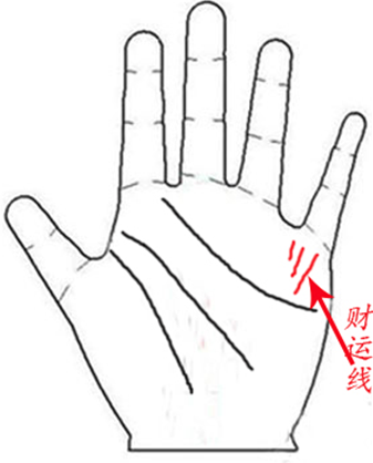 财运极佳财运线手纹