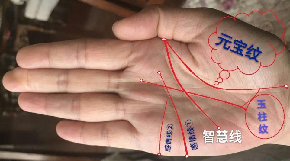元宝纹什么意思