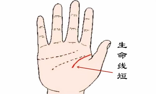 生命线长短代表寿命长短
