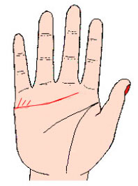 感情线低端很多分支