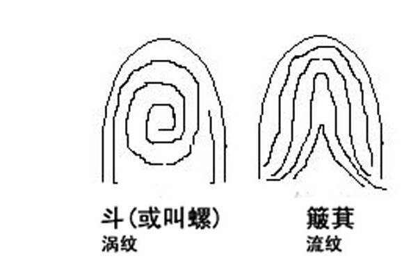手指为涡纹好不好