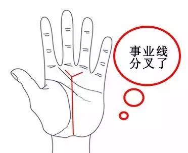 事业线分叉适合跳槽吗