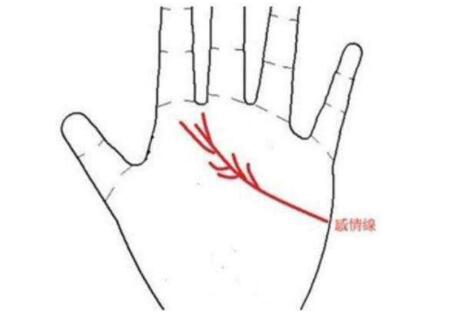 感情线分叉好不好