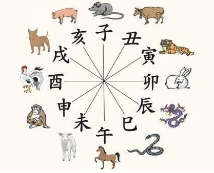 哪个生肖怕六冲