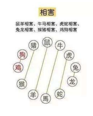 属相相害