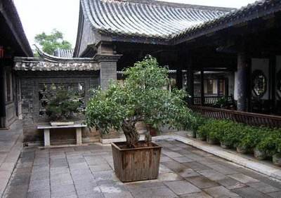 家宅风水上佳，生命力旺盛