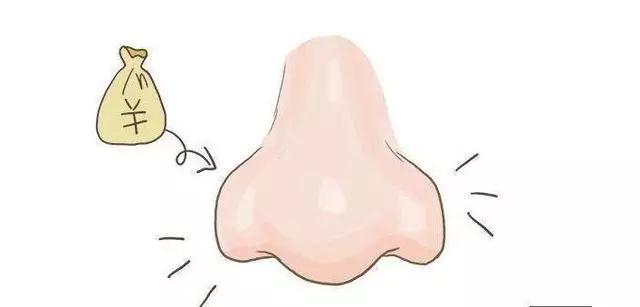 鼻翼丰满圆润的人办事能力强